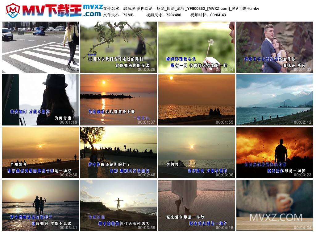 郭东坡-爱你却是一场梦_国语_流行_YF800863